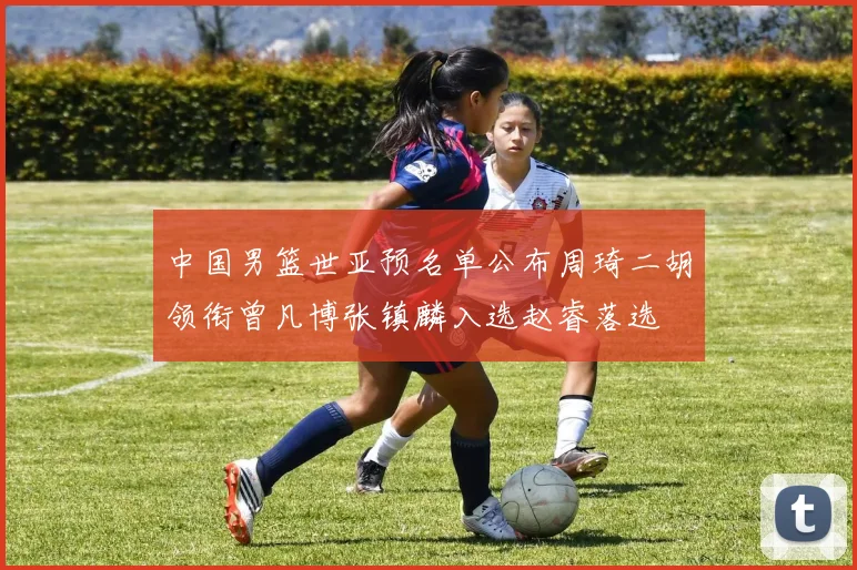 中国男篮世亚预名单公布周琦二胡领衔曾凡博张镇麟入选赵睿落选