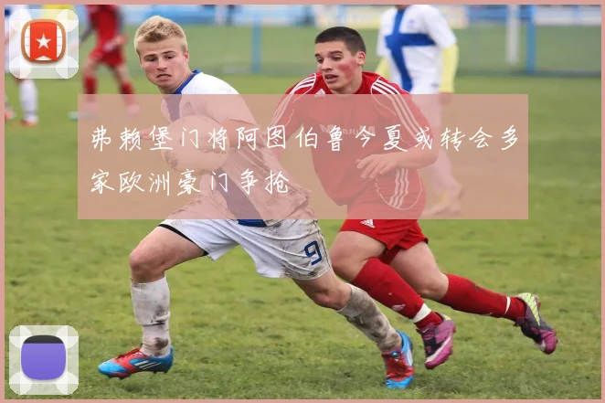 弗赖堡门将阿图伯鲁今夏或转会多家欧洲豪门争抢